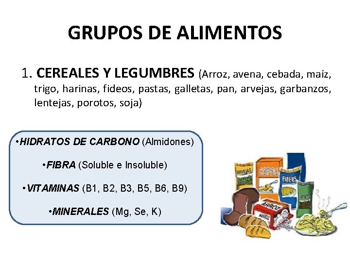 GRUPOS DE ALIMENTOS 1. CEREALES Y LEGUMBRES (Arroz, avena, cebada, maíz, trigo, harinas, fideos,