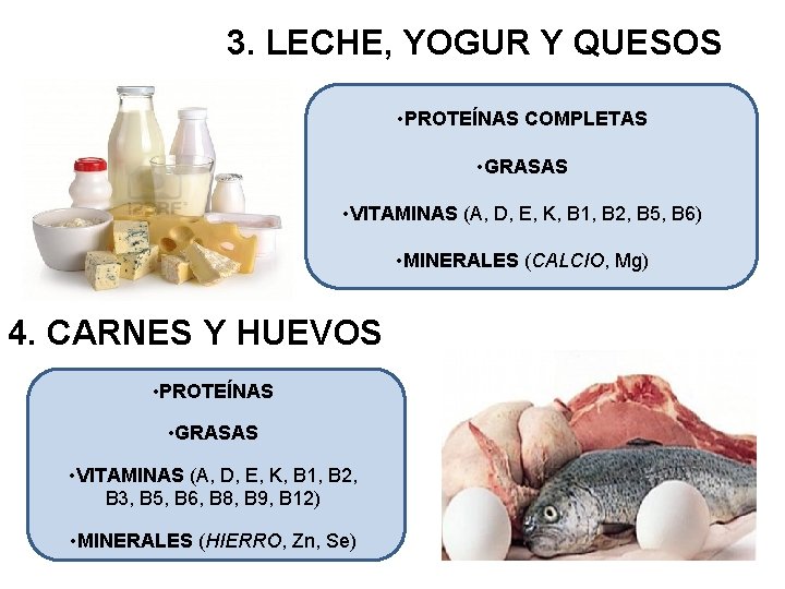 3. LECHE, YOGUR Y QUESOS • PROTEÍNAS COMPLETAS • GRASAS • VITAMINAS (A, D,