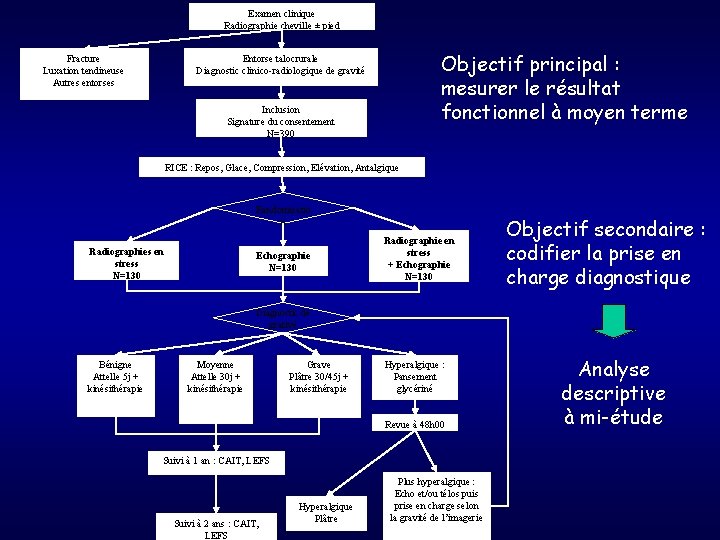 Examen clinique Radiographie cheville ± pied Fracture Luxation tendineuse Autres entorses Objectif principal :