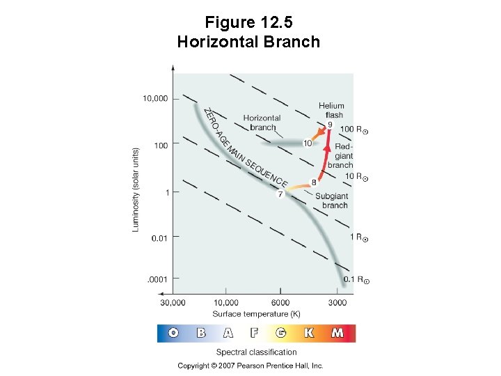 Figure 12. 5 Horizontal Branch 