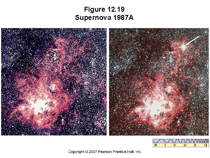 Figure 12. 19 Supernova 1987 A 