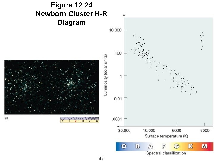 Figure 12. 24 Newborn Cluster H-R Diagram 