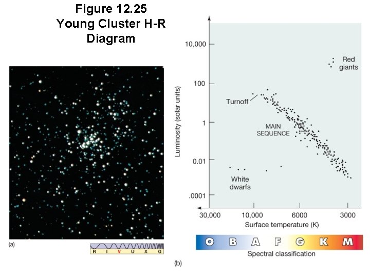 Figure 12. 25 Young Cluster H-R Diagram 