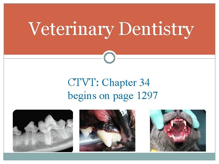 Veterinary Dentistry CTVT: Chapter 34 begins on page 1297 