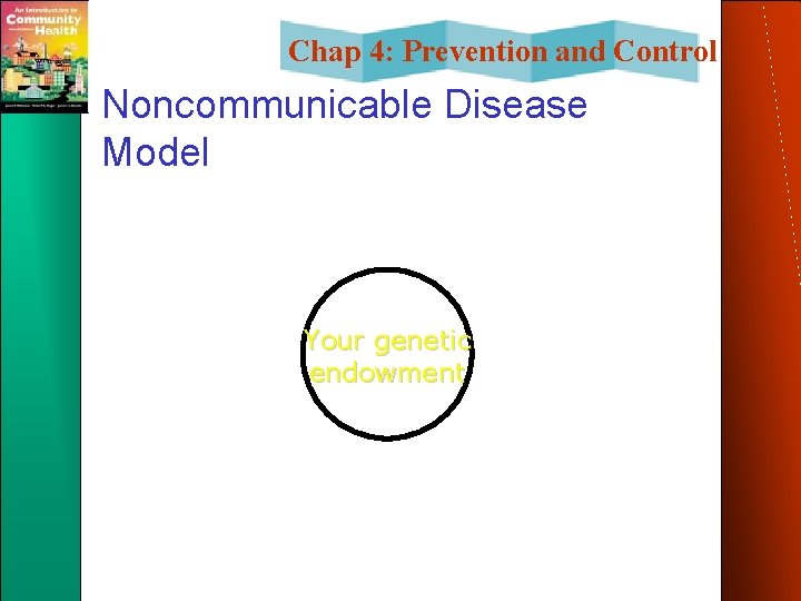 Chap 4: Prevention and Control Noncommunicable Disease Model Your genetic endowment 