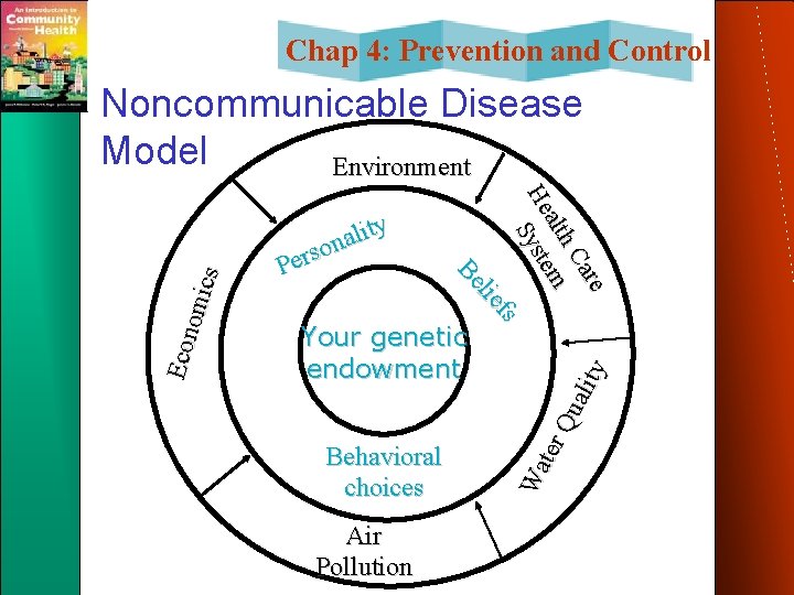 Chap 4: Prevention and Control Air Pollution Wa ter Qu alit y Your genetic