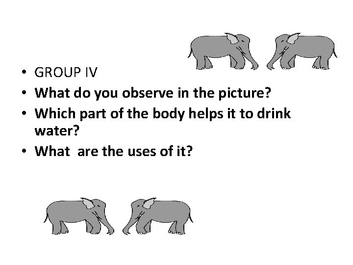  • GROUP IV • What do you observe in the picture? • Which