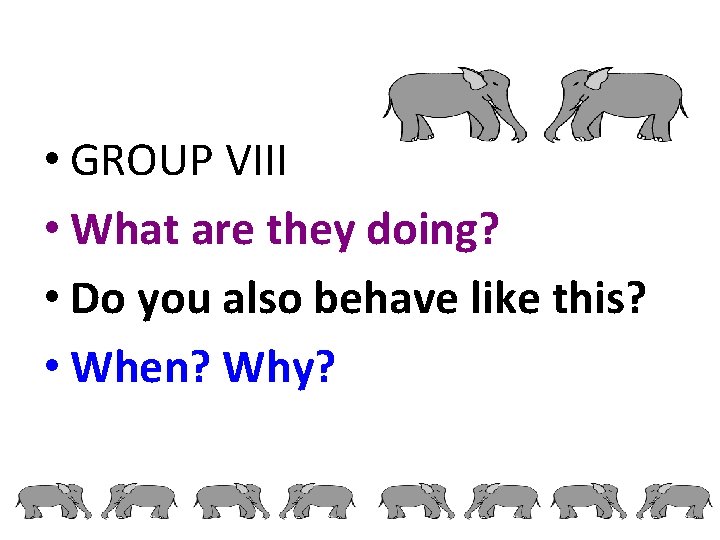  • GROUP VIII • What are they doing? • Do you also behave