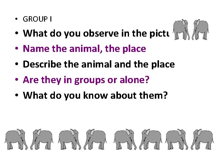  • GROUP I • • • What do you observe in the picture?