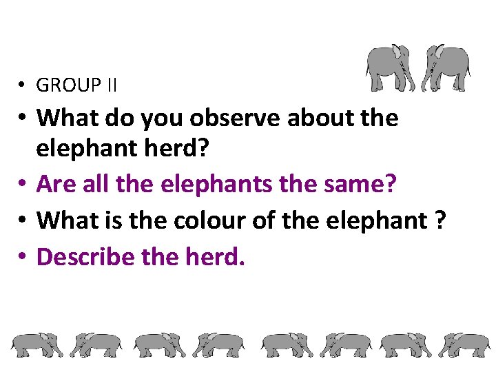  • GROUP II • What do you observe about the elephant herd? •