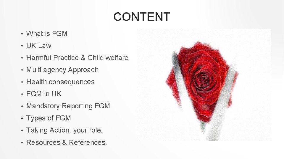 VIOLENCE PREVENTION FEMALE GENITAL MUTILATION Dr Richard Fawcett