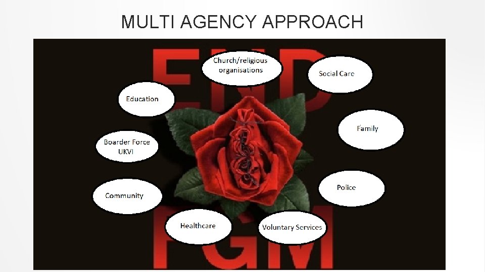 VIOLENCE PREVENTION FEMALE GENITAL MUTILATION Dr Richard Fawcett