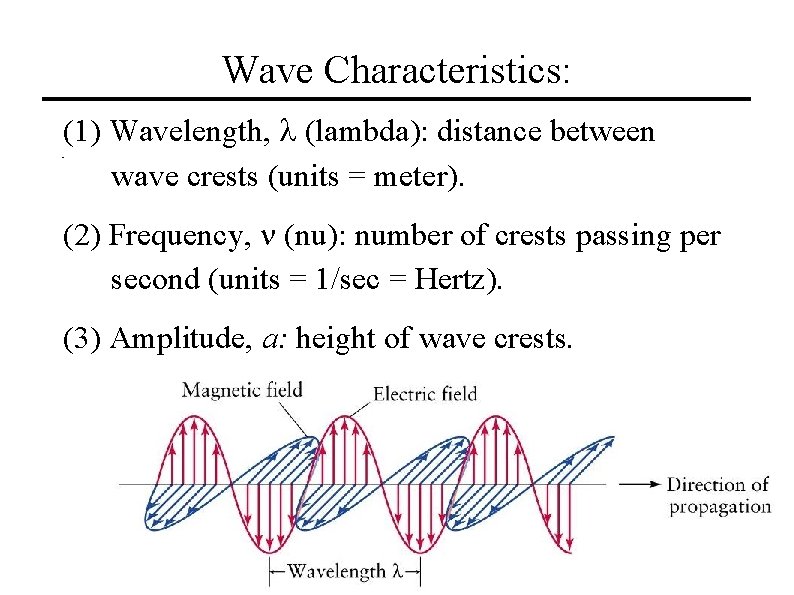 Wave Characteristics: (1) Wavelength, l (lambda): distance between wave crests (units = meter). (2)