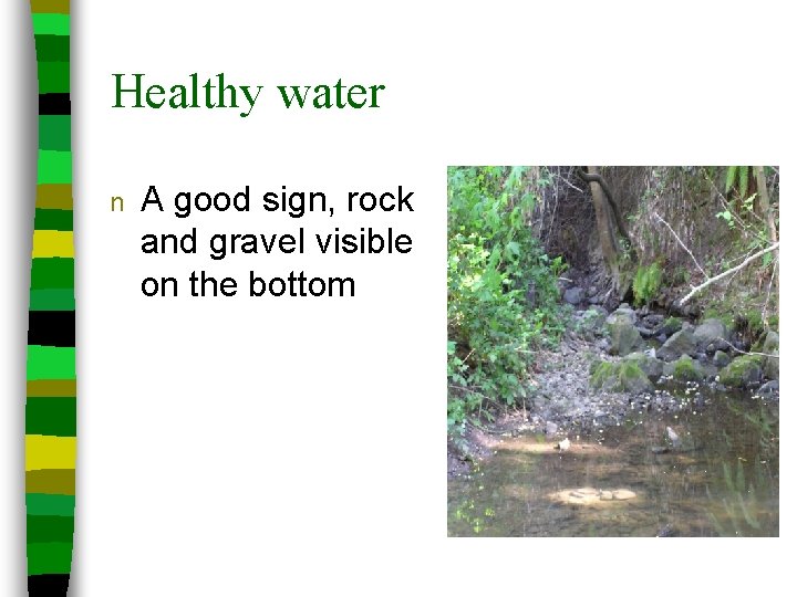 Healthy water n A good sign, rock and gravel visible on the bottom 