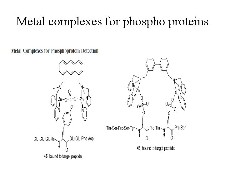Metal complexes for phospho proteins 