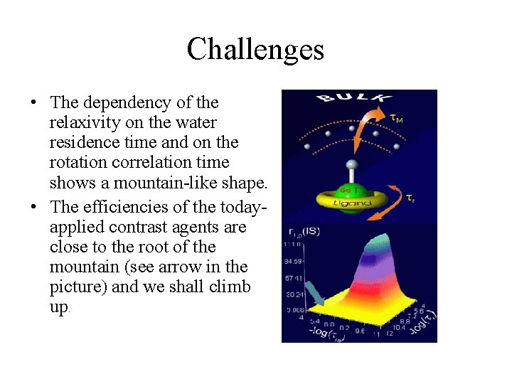Challenges • The dependency of the relaxivity on the water residence time and on