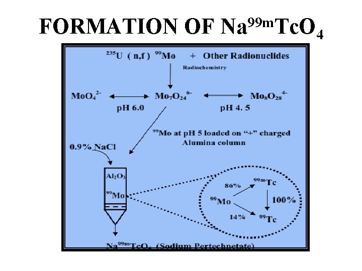 FORMATION OF Na 99 m. Tc. O 4 