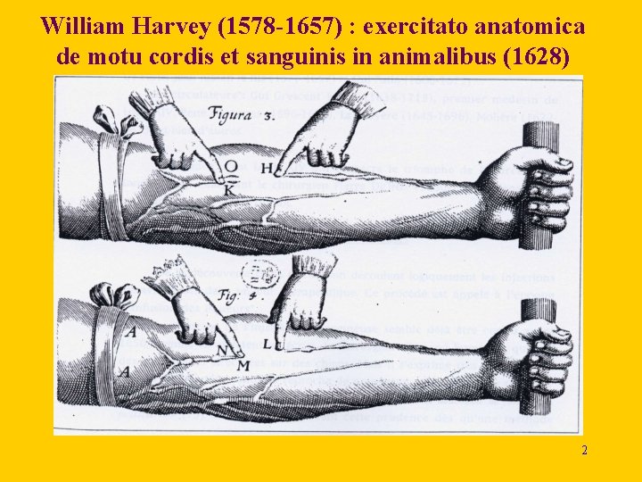 William Harvey (1578 -1657) : exercitato anatomica de motu cordis et sanguinis in animalibus