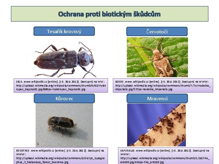 Ochrana proti biotickým škůdcům Tesařík krovový SIGA. www. wikipedia. cz [online]. [cit. 20. 9.