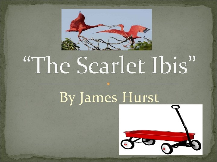 “The Scarlet Ibis” By James Hurst 