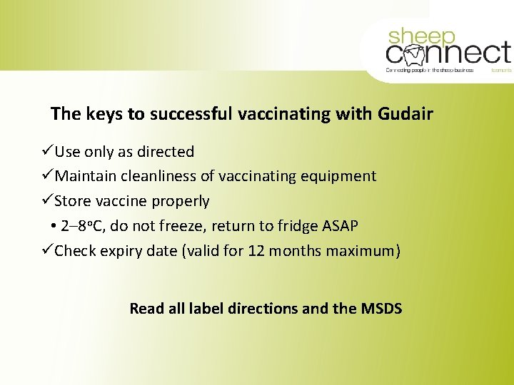 The keys to successful vaccinating with Gudair üUse only as directed üMaintain cleanliness of