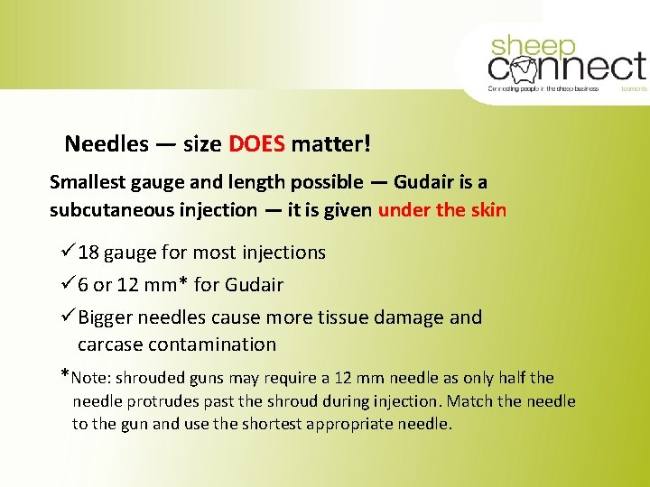 Needles — size DOES matter! Smallest gauge and length possible — Gudair is a