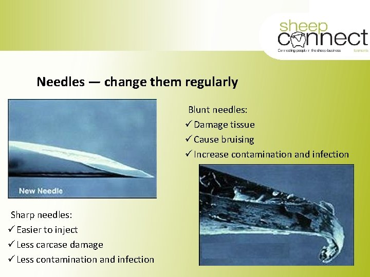 Needles — change them regularly Blunt needles: ü Damage tissue ü Cause bruising ü