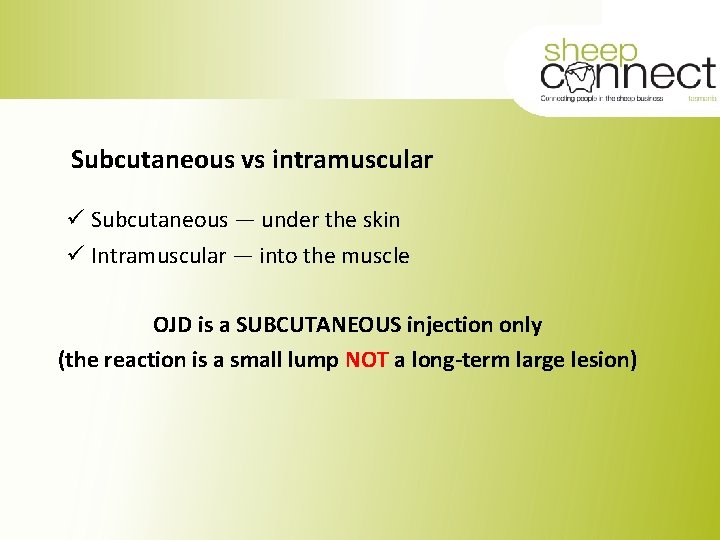 Subcutaneous vs intramuscular ü Subcutaneous — under the skin ü Intramuscular — into the