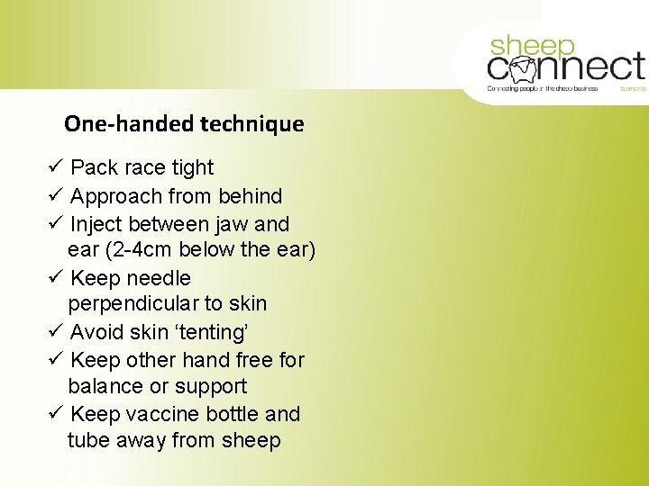 One-handed technique ü Pack race tight ü Approach from behind ü Inject between jaw