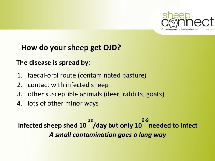 How do your sheep get OJD? The disease is spread by: 1. 2. 3.
