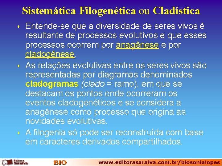 Sistemática Filogenética ou Cladística s s s Entende-se que a diversidade de seres vivos