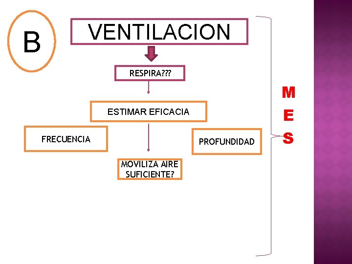 B VENTILACION RESPIRA? ? ? ESTIMAR EFICACIA FRECUENCIA PROFUNDIDAD MOVILIZA AIRE SUFICIENTE? M E