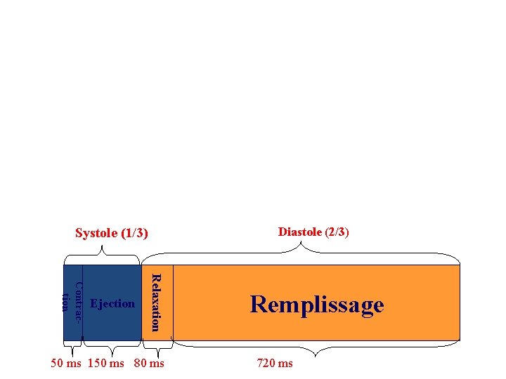 Diastole (2/3) Systole (1/3) Relaxation Contraction Ejection 50 ms 150 ms 80 ms Remplissage