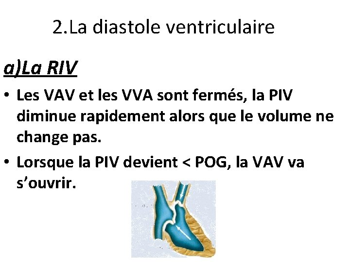 2. La diastole ventriculaire a)La RIV • Les VAV et les VVA sont fermés,