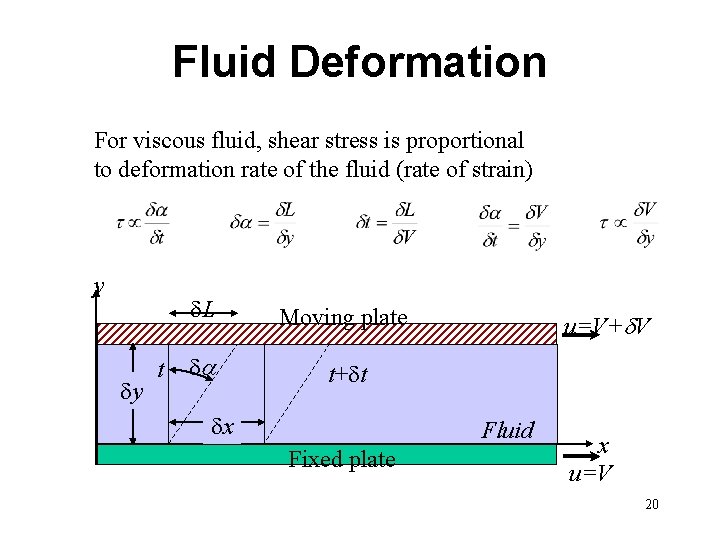 Fluid Deformation For viscous fluid, shear stress is proportional to deformation rate of the
