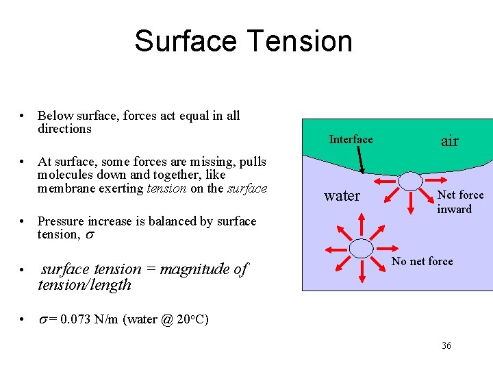 Surface Tension • Below surface, forces act equal in all directions • At surface,