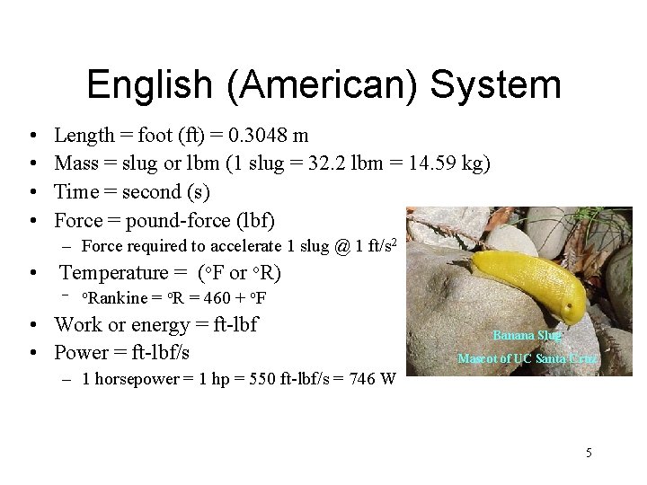 English (American) System • • Length = foot (ft) = 0. 3048 m Mass