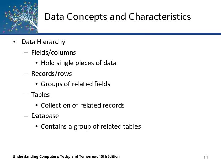 Data Concepts and Characteristics • Data Hierarchy – Fields/columns • Hold single pieces of