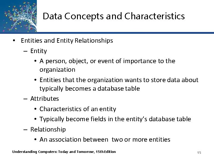 Data Concepts and Characteristics • Entities and Entity Relationships – Entity • A person,