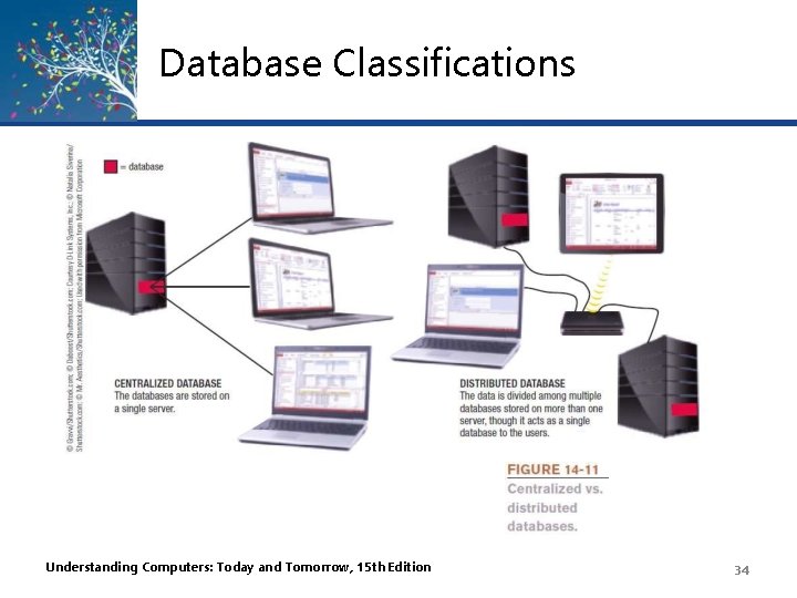 Database Classifications Understanding Computers: Today and Tomorrow, 15 th Edition 34 