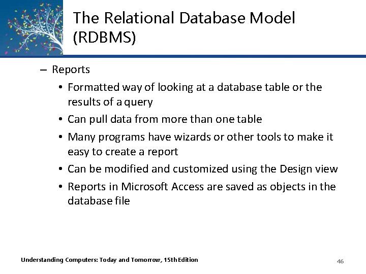 The Relational Database Model (RDBMS) – Reports • Formatted way of looking at a