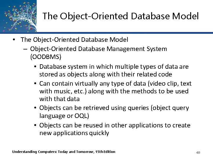 The Object-Oriented Database Model • The Object-Oriented Database Model – Object-Oriented Database Management System