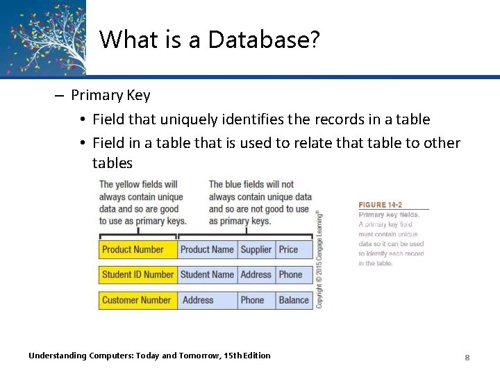 What is a Database? – Primary Key • Field that uniquely identifies the records