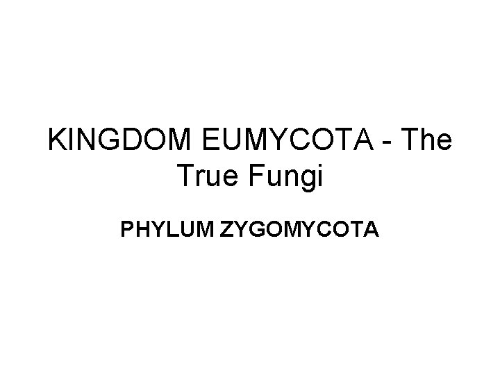 KINGDOM EUMYCOTA The True Fungi PHYLUM ZYGOMYCOTA Characteristics