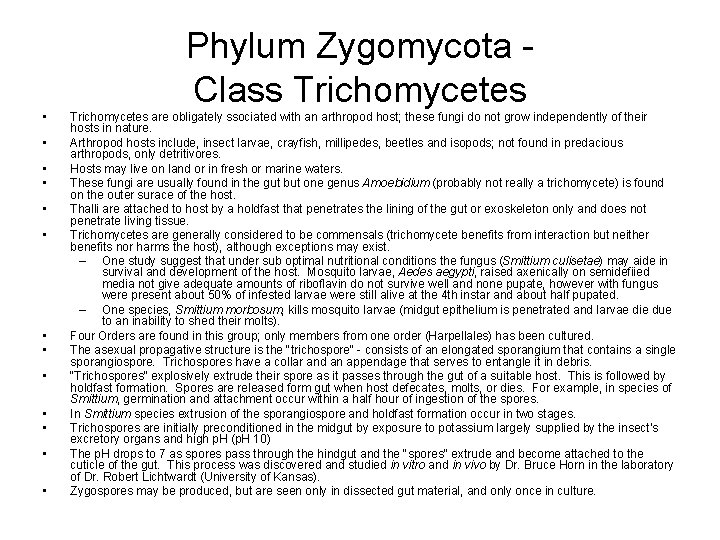 Phylum Zygomycota - Class Trichomycetes • • • • Trichomycetes are obligately ssociated with Phylum Zygomycota - Class Trichomycetes • • • • Trichomycetes are obligately ssociated with