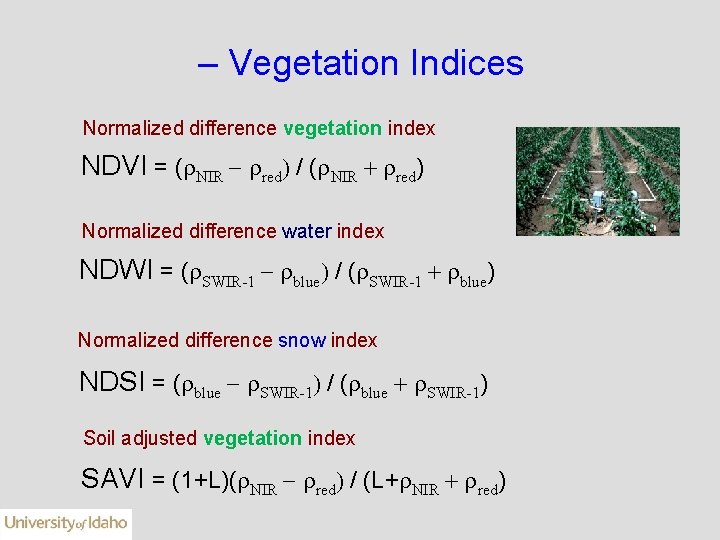 – Vegetation Indices Normalized difference vegetation index NDVI = (r. NIR - rred) /