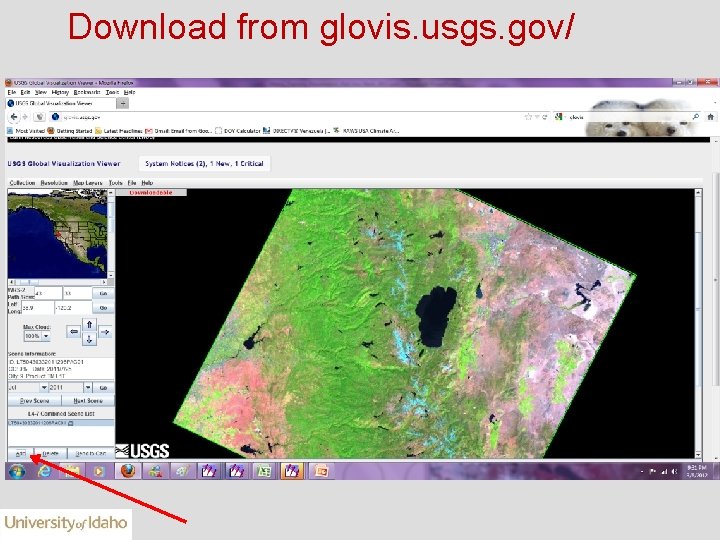 Download from glovis. usgs. gov/ 