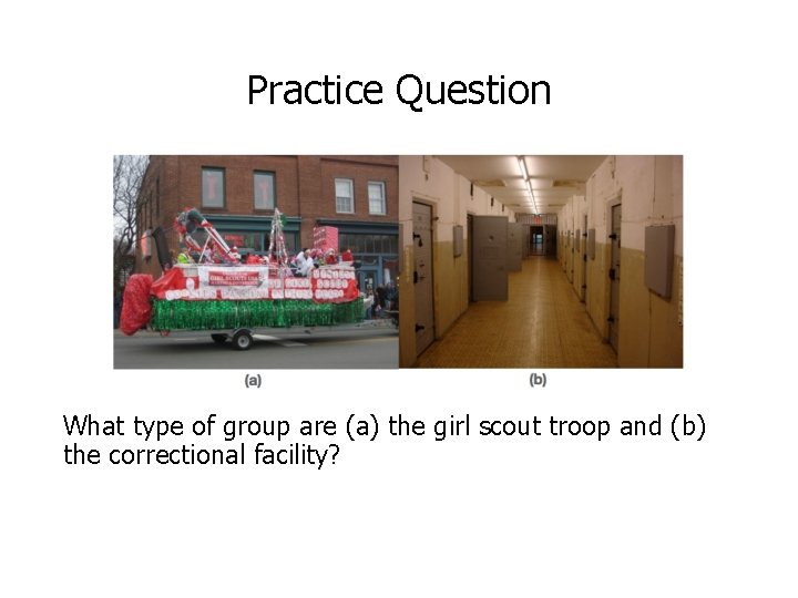 Practice Question What type of group are (a) the girl scout troop and (b)