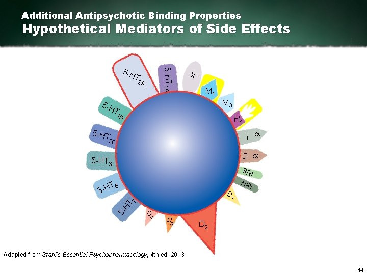 Additional Antipsychotic Binding Properties Hypothetical Mediators of Side Effects 5 HT 1 A 5