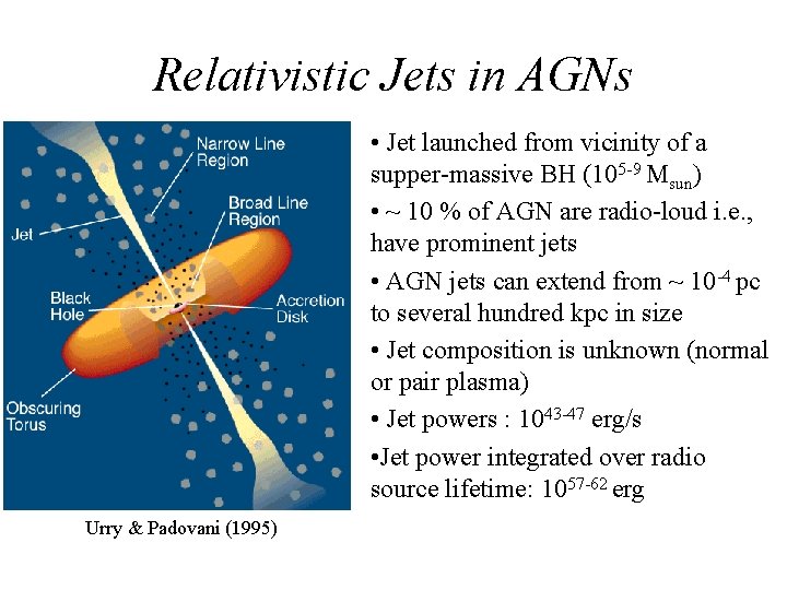 Relativistic Jets in AGNs • Jet launched from vicinity of a supper-massive BH (105